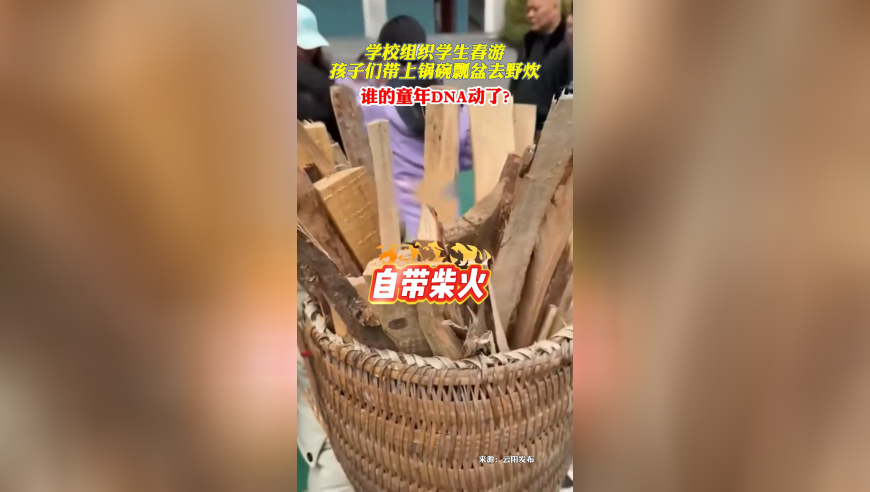 溴门开奖结果开奖记录,网红罗大美转账200万元仍遭灭口,最新正品解答落实_手机版V14.82